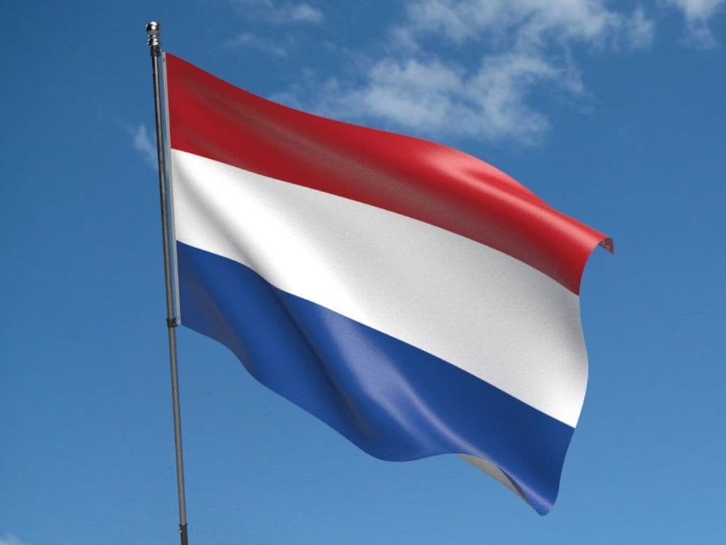Which coalition will form the next Dutch government? card icon